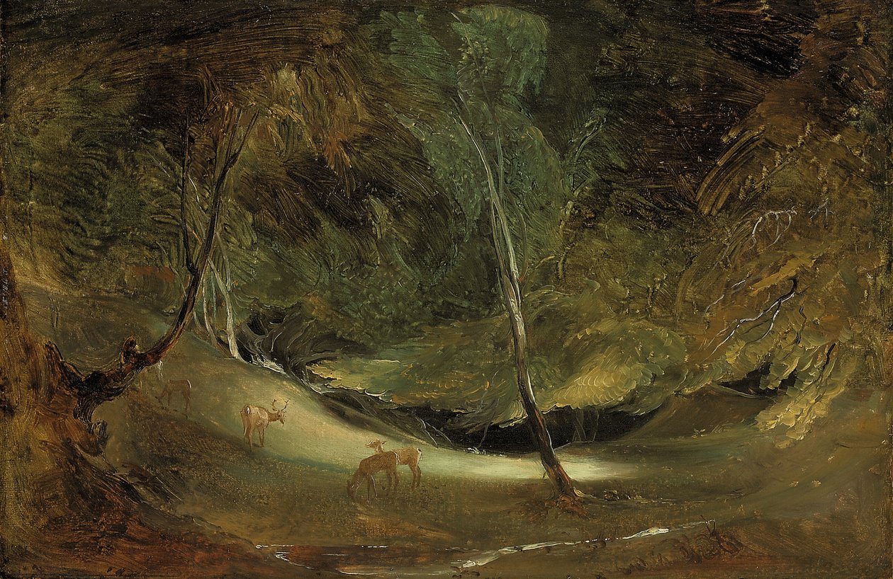 Manifoldens kilde i Ilam Park (olie på papir, lagt ned på lærred) af Thomas Lawrence