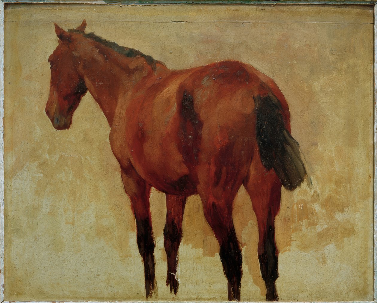 Hestestudie af Thomas Ludwig Herbst