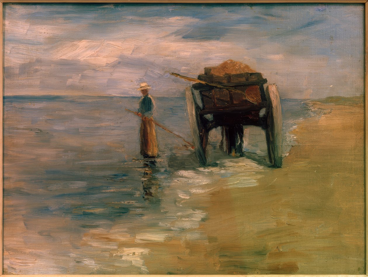 Havgræsfisker af Thomas Ludwig Herbst
