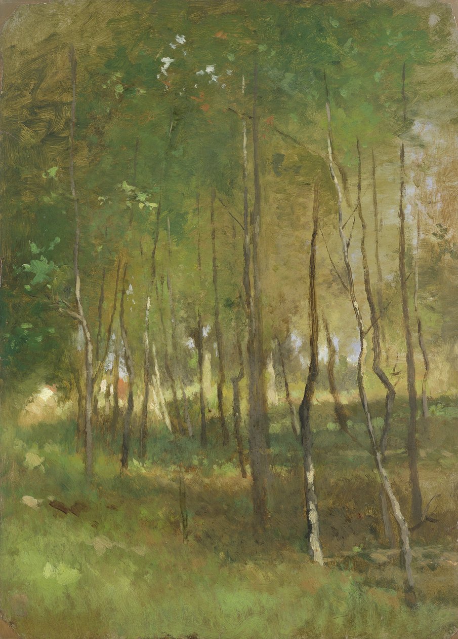 Træ (olie på papir lagt på lærred) af Thomas Ludwig Herbst
