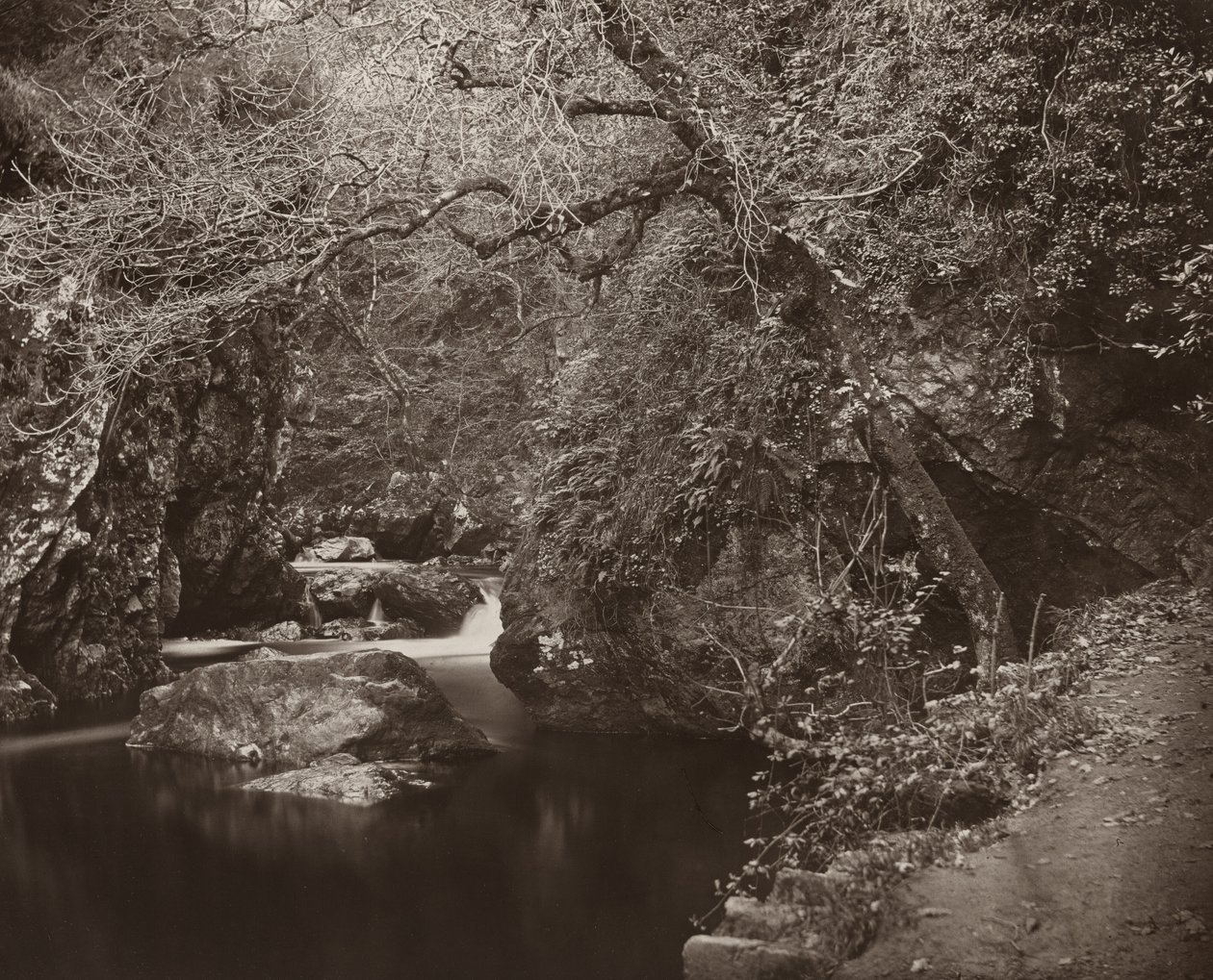 The Dargle Hole, ca. 1865. af Thomas Marcus Brownrigg