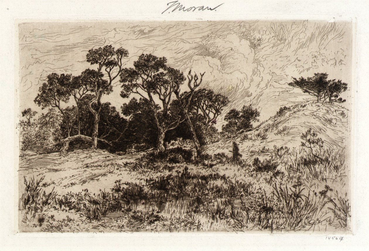 En sydlig vind af Thomas Moran