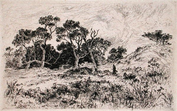 En sydlig vind og en overskyet himmel Udråb det til en jagtmorgen (ætsning) af Thomas Moran
