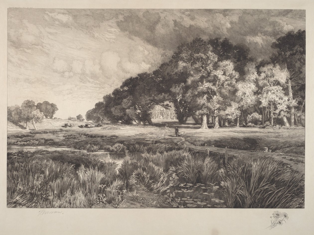 Landskab på Long Island af Thomas Moran