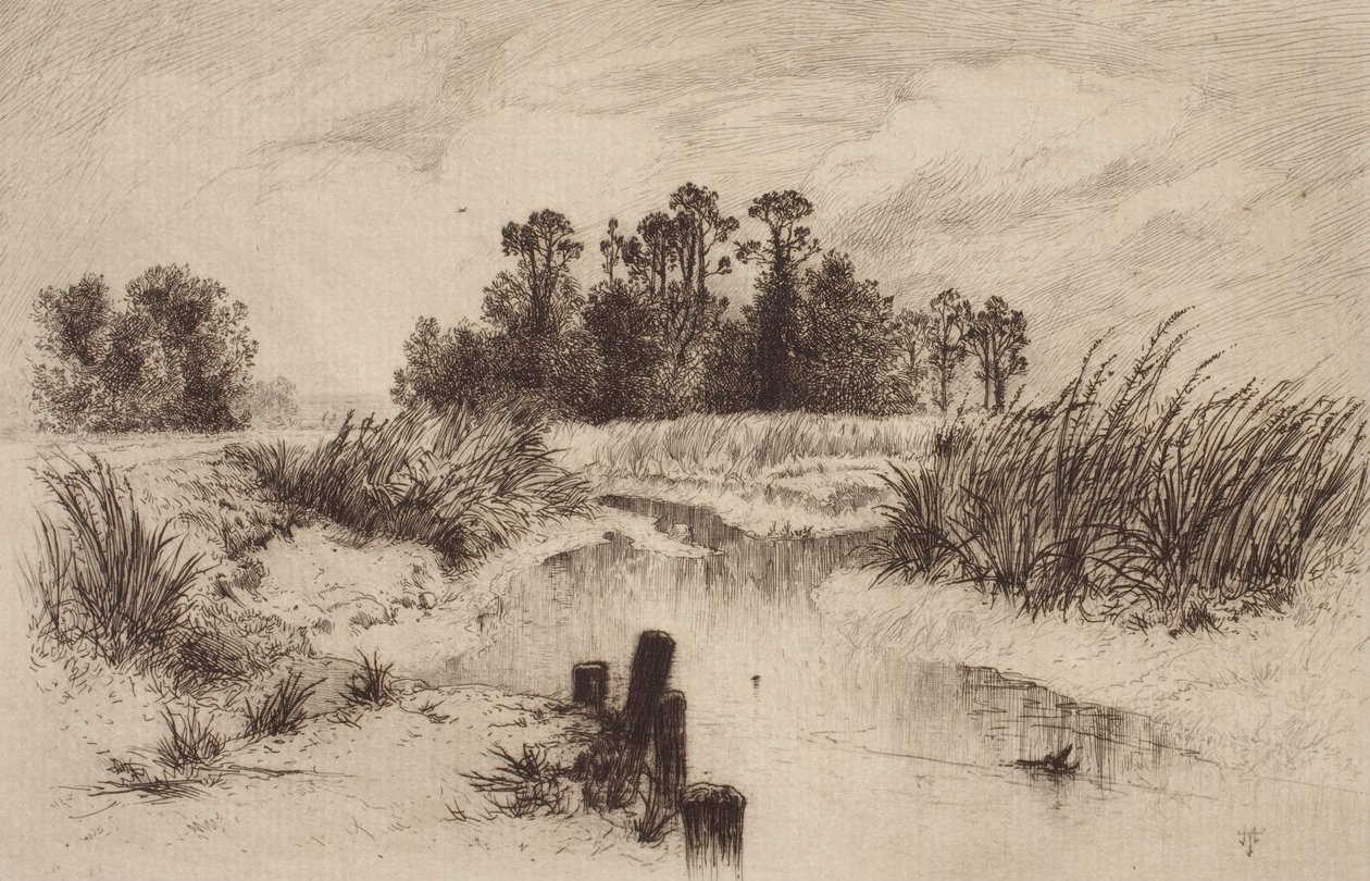 Sumpet landskab med bæk af Thomas Moran