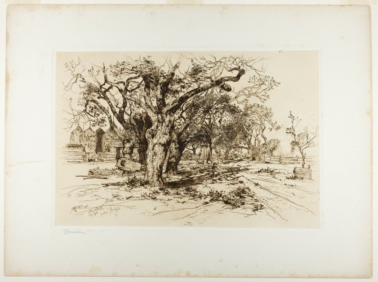 Mulfords frugtplantage, Easthampton af Thomas Moran