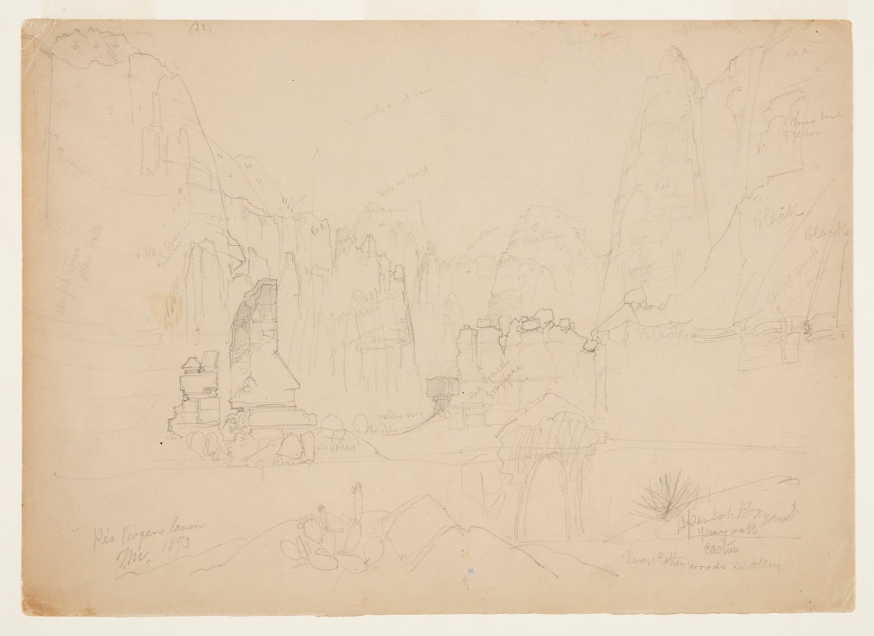 Canyon of the Rio Virgin, South Utah af Thomas Moran