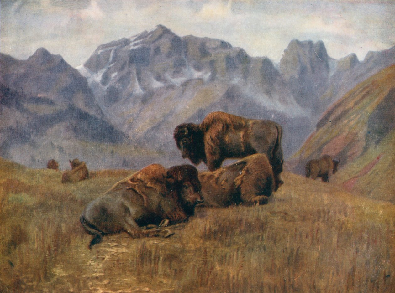  af Thomas Mower Martin
