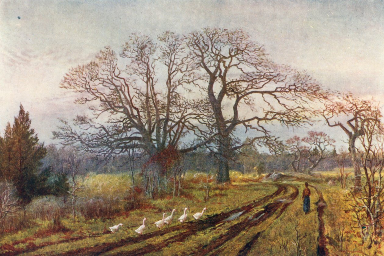  af Thomas Mower Martin