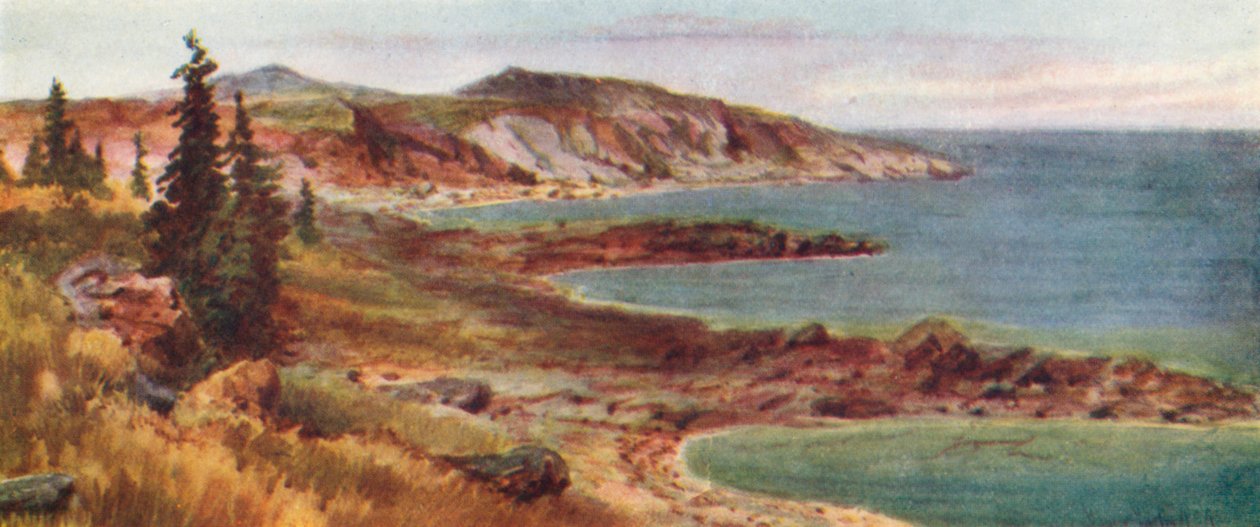 North Shore, Lake Superior (farvelitografi) af Thomas Mower Martin