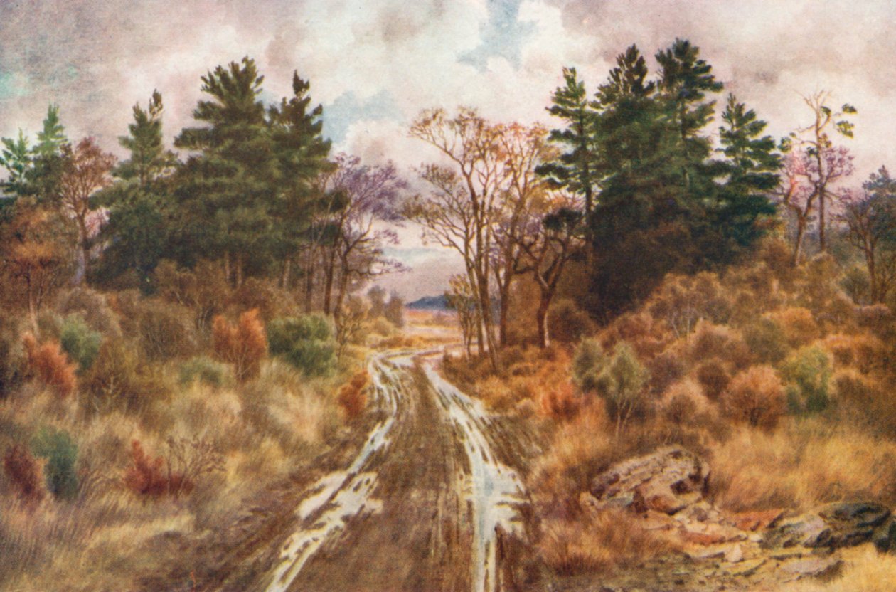 Vej nær Fundy-bugten, efterår (farvelitografi) af Thomas Mower Martin