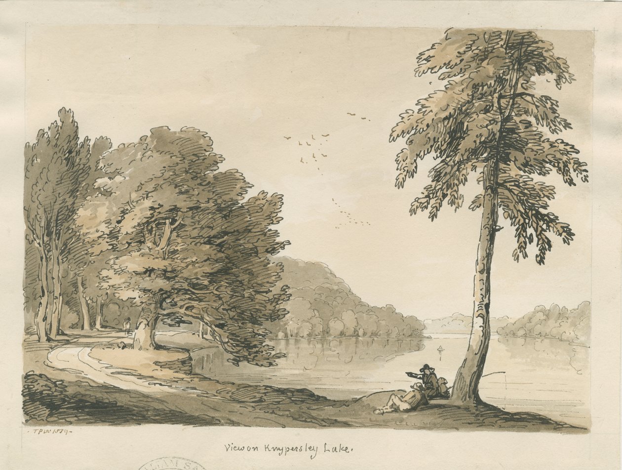 Biddulph Moor - The Bride-Stones: gravering af Thomas Peploe Wood
