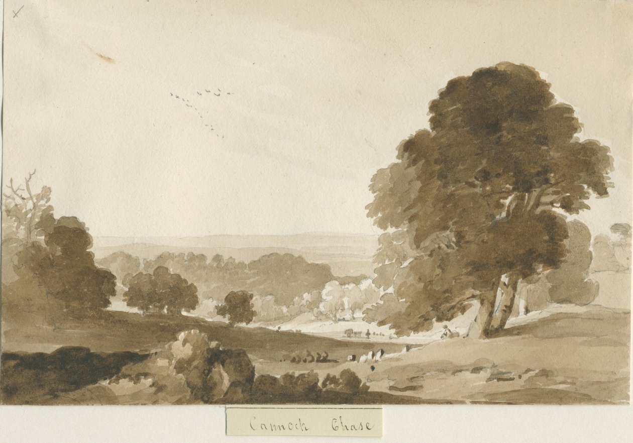 Cannock Chase: sepia wash drawing, nd [? 1839] dani af Thomas Peploe Wood