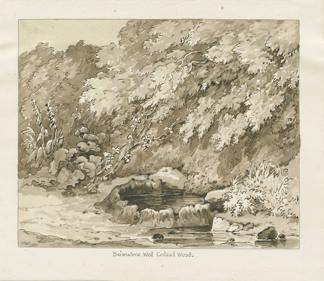 Codsall Wood - Brimstone Well: sepia tegning af Thomas Peploe Wood