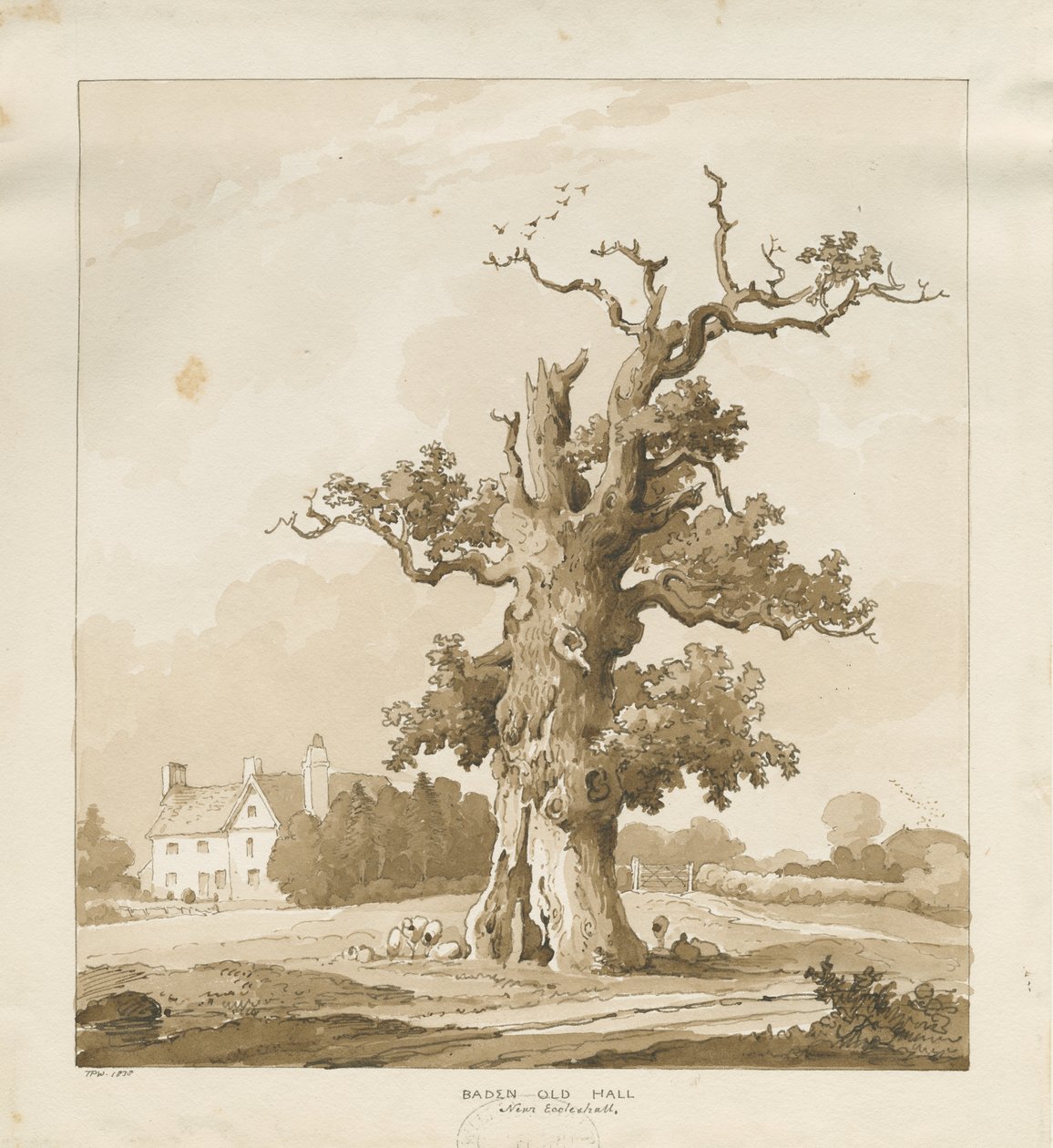 Eccleshall - Baden Old Hall: sepia tegning af Thomas Peploe Wood