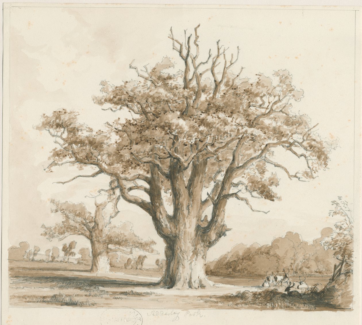 Teddesley Hall - Oak Trees: blyant- og vasketegning, nd [nov. 1842] af Thomas Peploe Wood