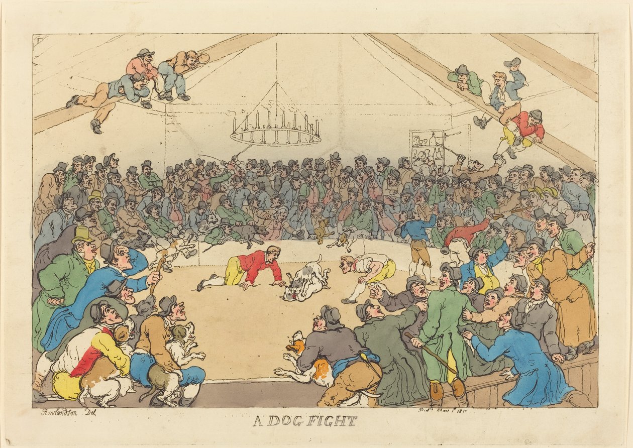 En hundekamp af Thomas Rowlandson