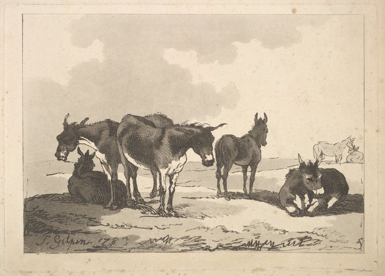 En gruppe på fem æsler, tre stående, to liggende, 1783-87. af Thomas Rowlandson