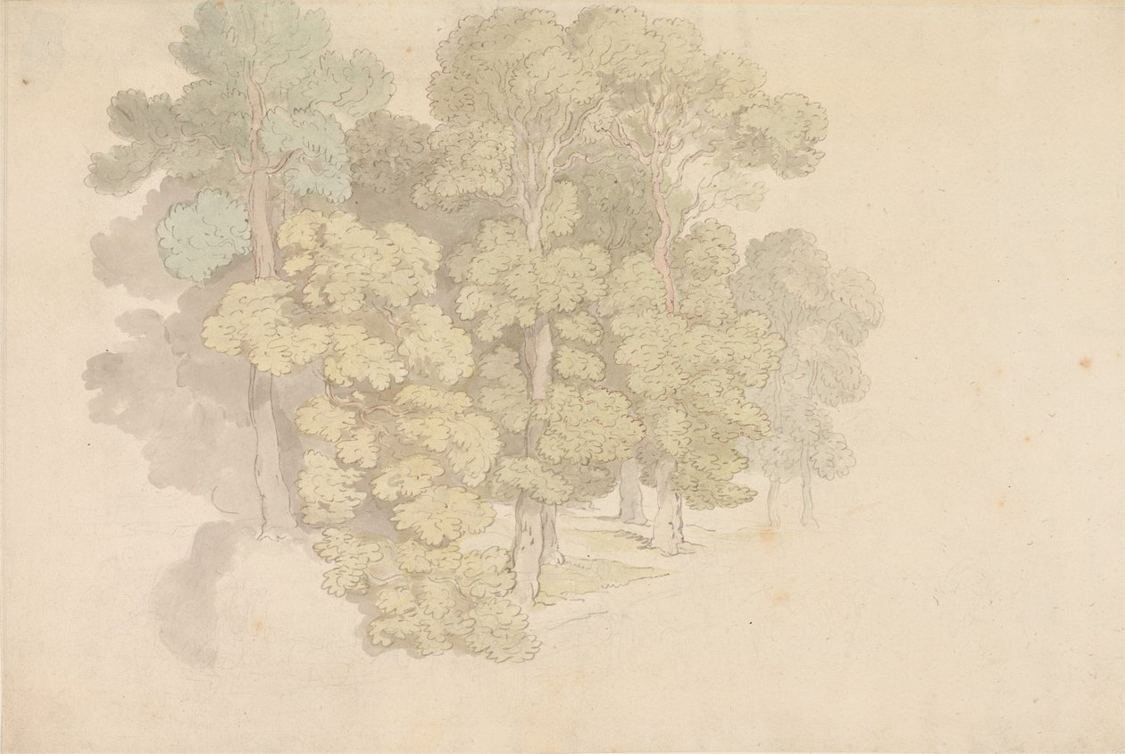 En gruppe træer af Thomas Rowlandson