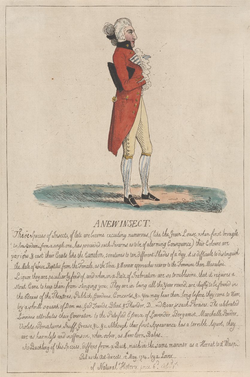 Et nyt insekt af Thomas Rowlandson