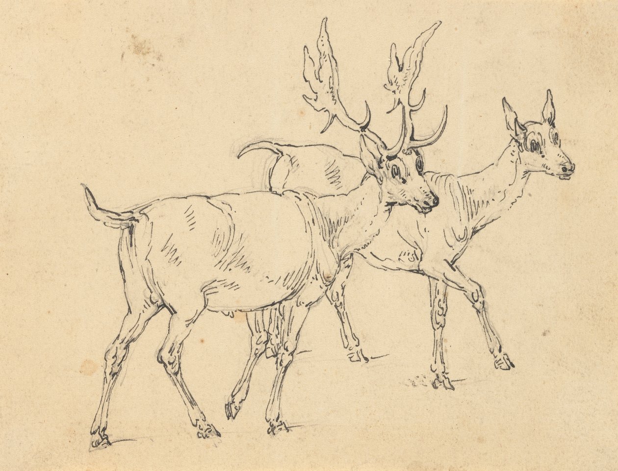 Album tegning af Thomas Rowlandson