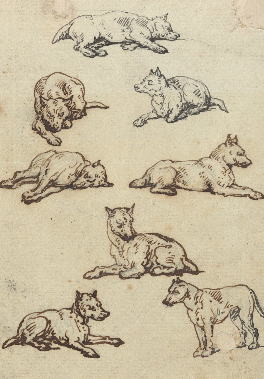Tegning til albummet af Thomas Rowlandson