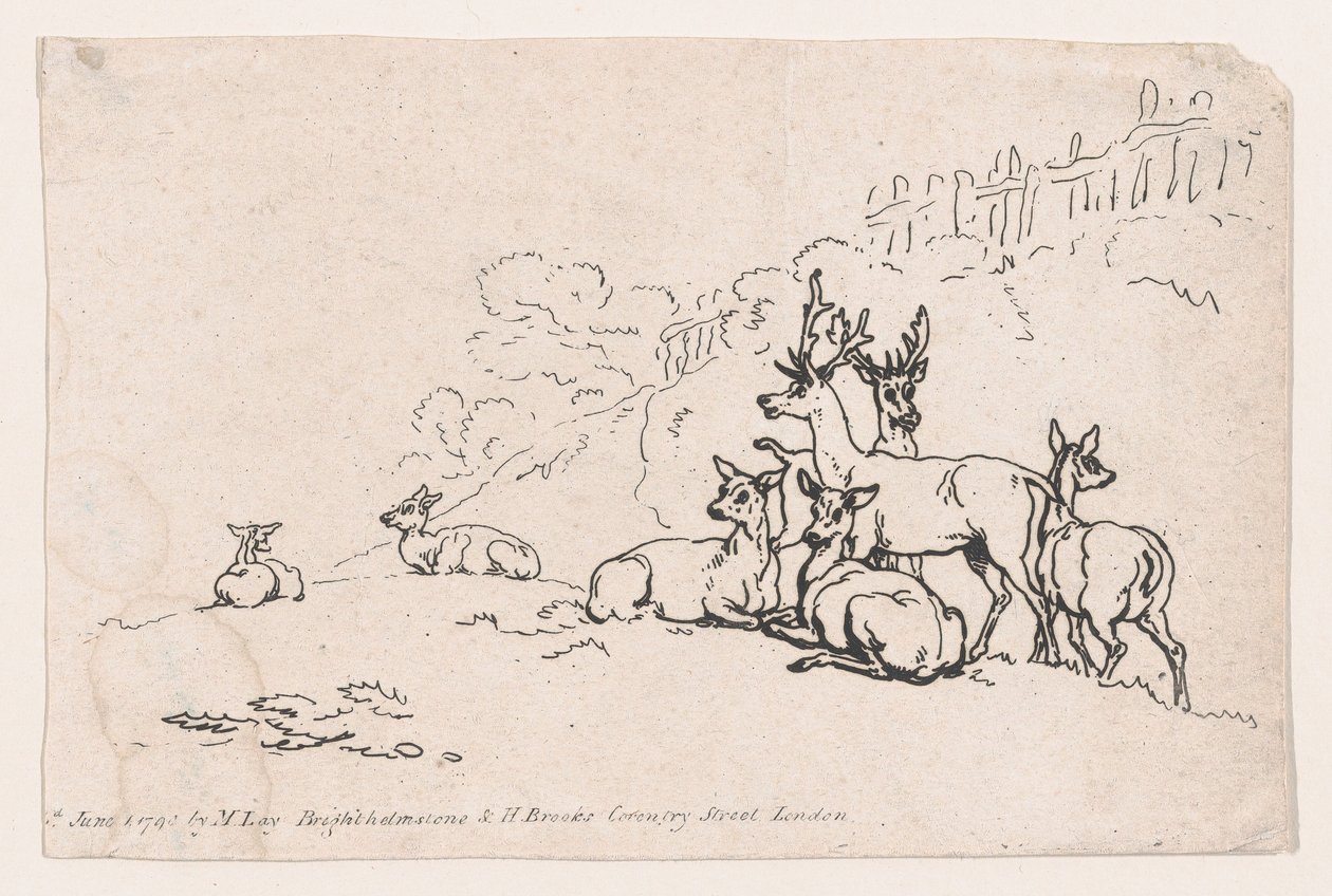 Hjorte fra tavle 3, omrids af figurer, landskaber og kreaturer...til brug for Le..., 1. juni 1790. af Thomas Rowlandson