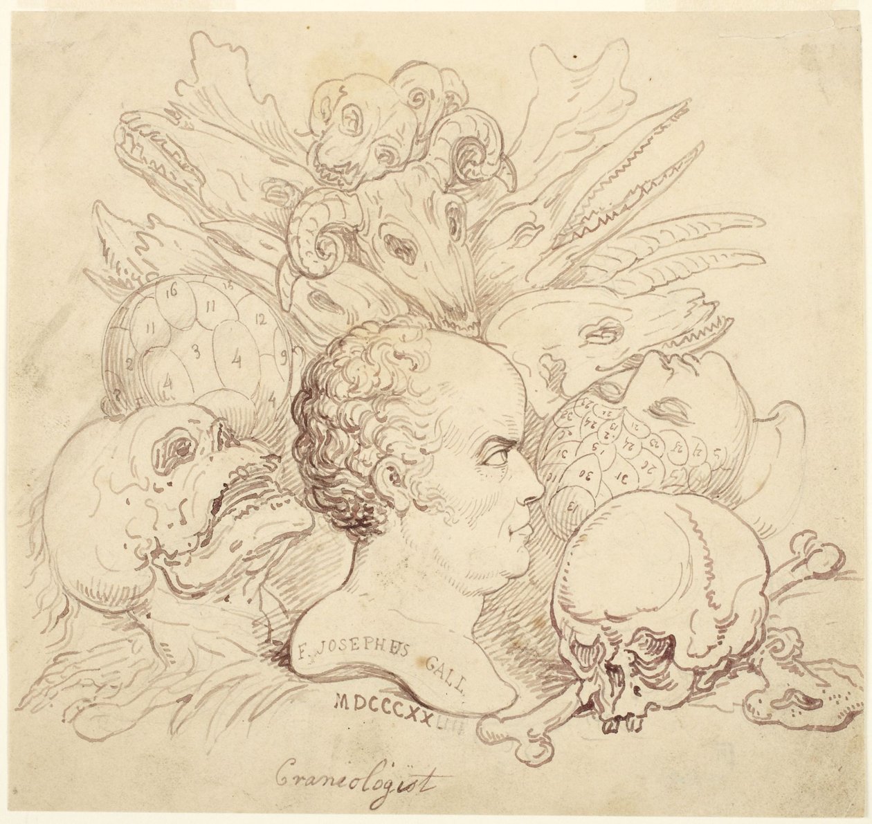 F. Josephus Gall, kraniolog af Thomas Rowlandson