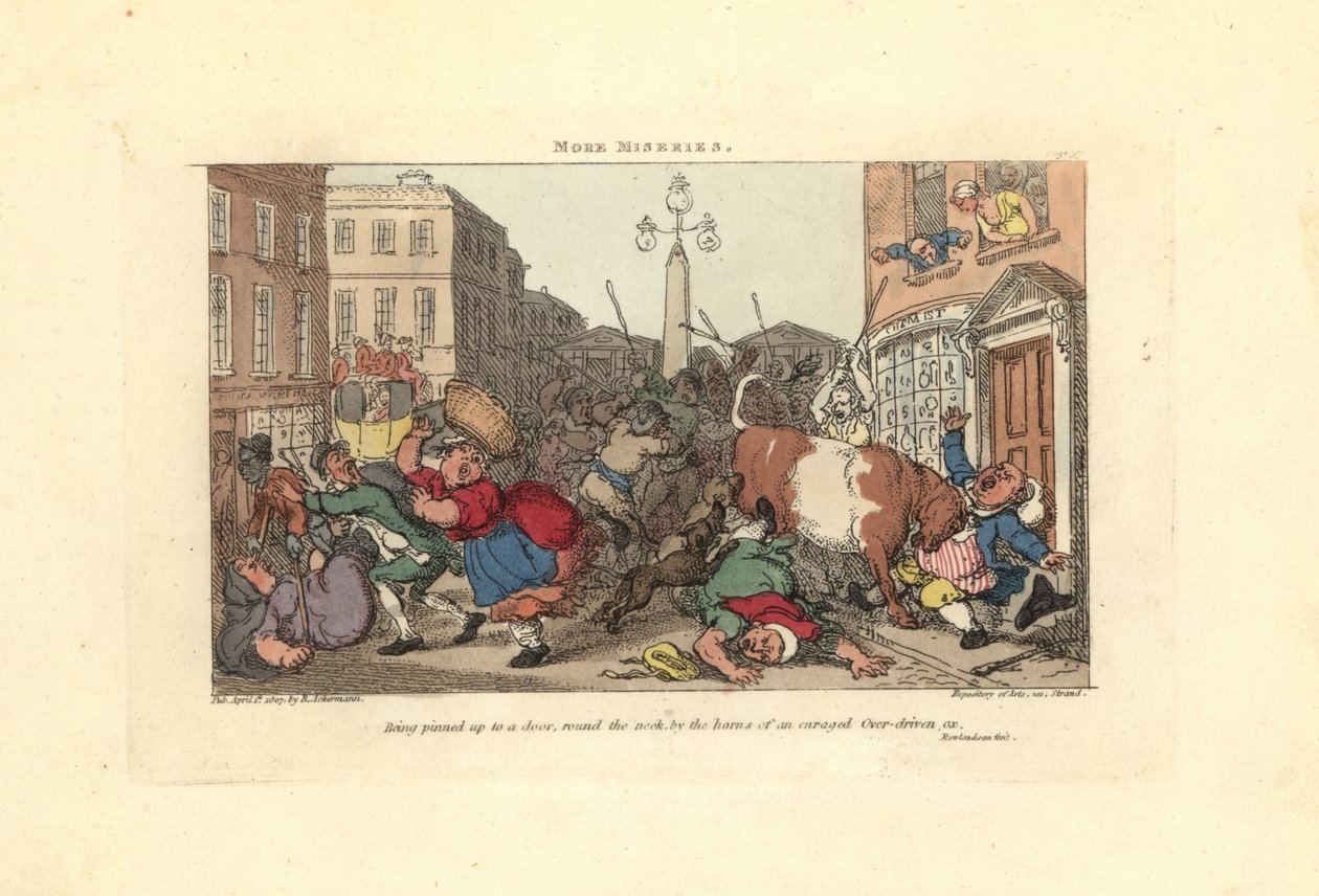 Mand fastklemt til en dør af hornene på en rasende okse. af Thomas Rowlandson