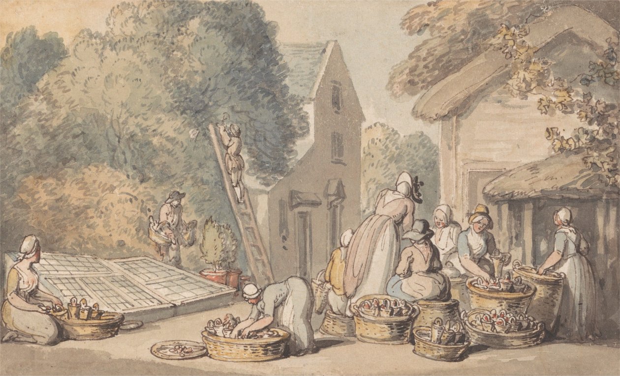 Plukning af morbær af Thomas Rowlandson