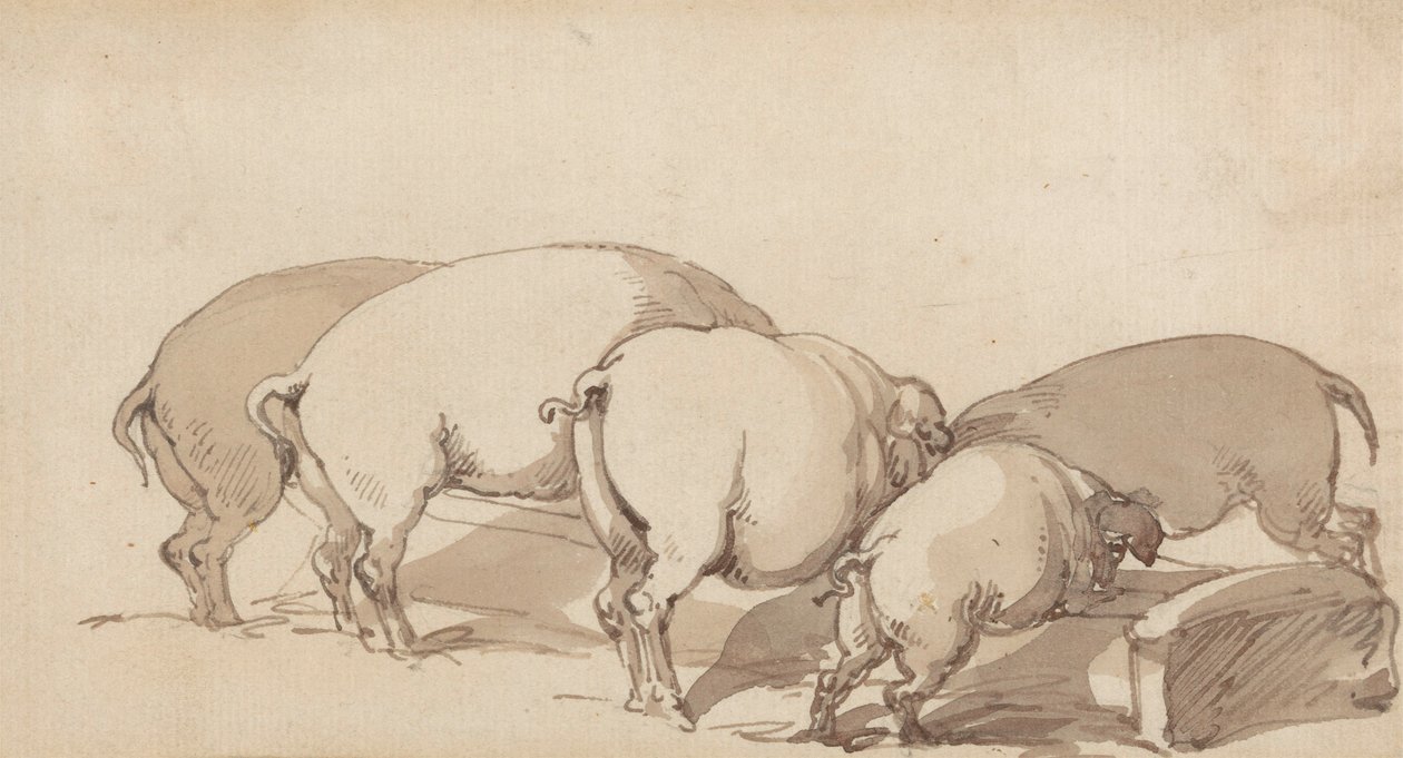 Pigs at a Trough, ca. 1790 (grafit med pen og blæk og brun vask på papir) af Thomas Rowlandson