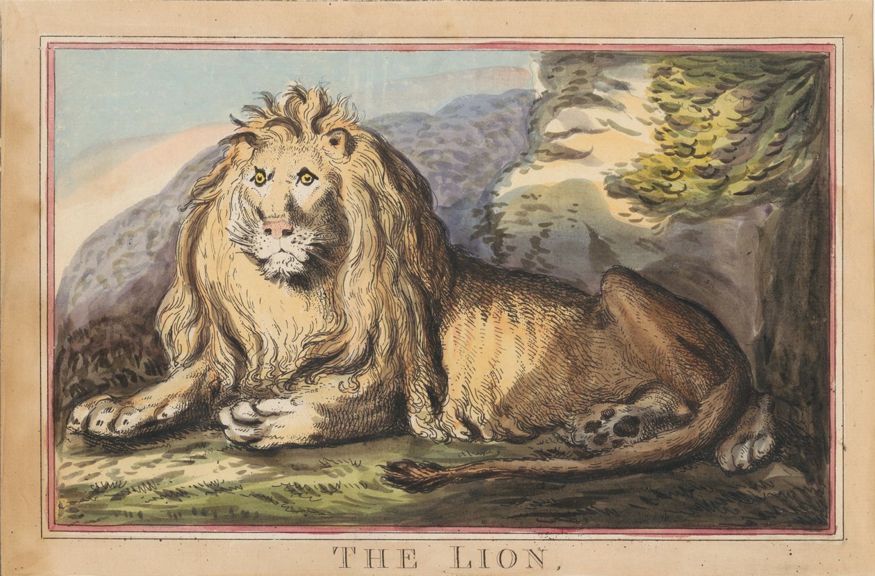 Sæt bestående af otte billeder med titelblad. »Udenlandske og indenlandske dyr.« 3. Løvinden af Thomas Rowlandson
