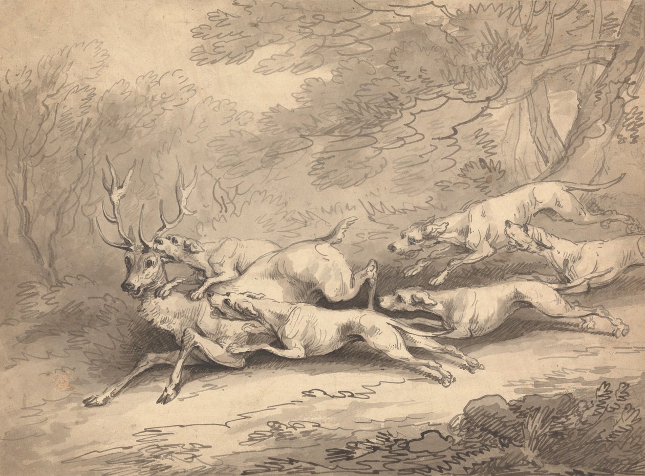 Hjort nedlagt af en flok hunde af Thomas Rowlandson