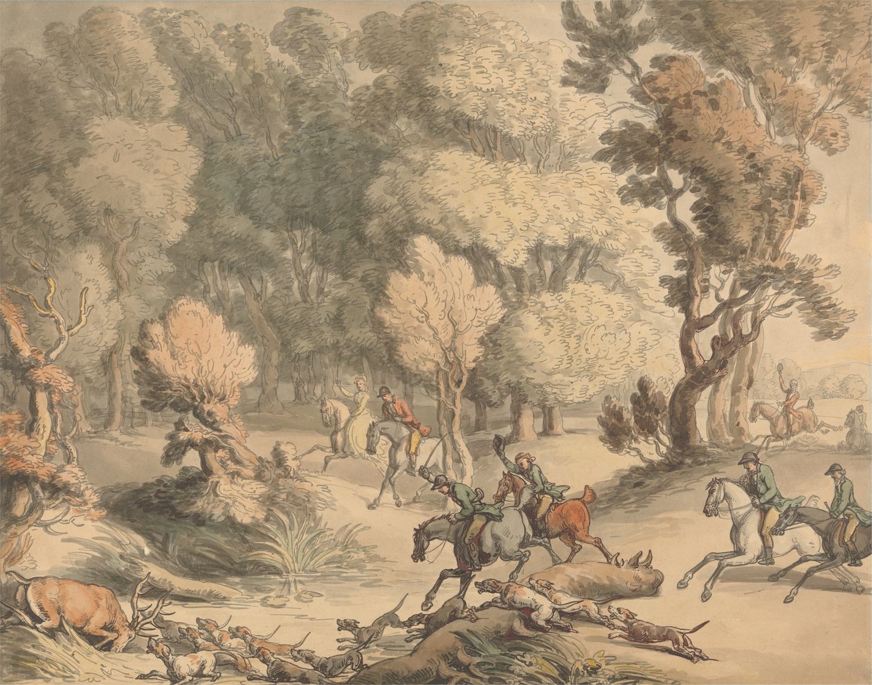 Hjort i bugten - Scene nær Taplow, Berks, ca. 1795-1801 (pen, blæk, akvarel og akvarel med lidt kropsfarve på papir) af Thomas Rowlandson