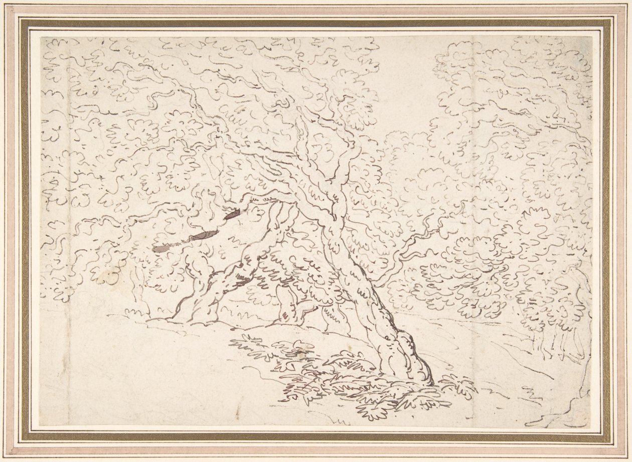Undersøgelse af træer af Thomas Rowlandson
