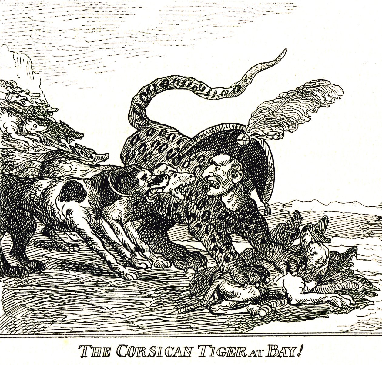 Den gøede korsikanske tiger (Napoleon Bonaparte), karikatur 1808 af Thomas Rowlandson