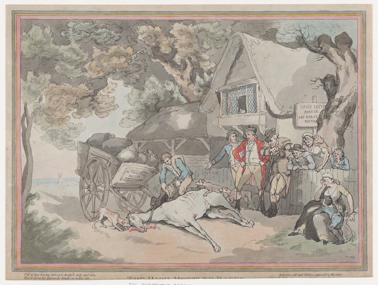 Vognhesten fra The Life of a Racehourse, eller The High-Mettled Racer, 2. juli..., 20. juli, 1789. af Thomas Rowlandson