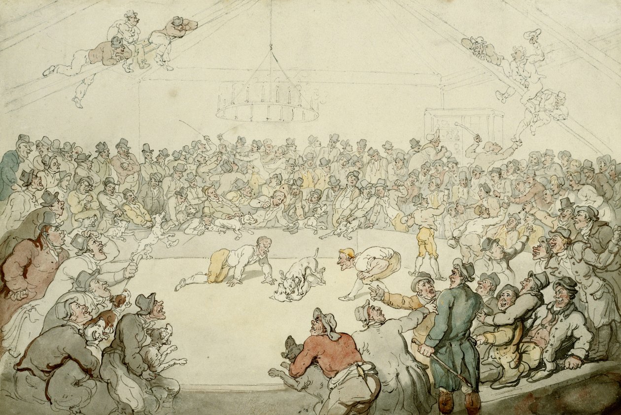 Westminster Pitt, 1798 af Thomas Rowlandson