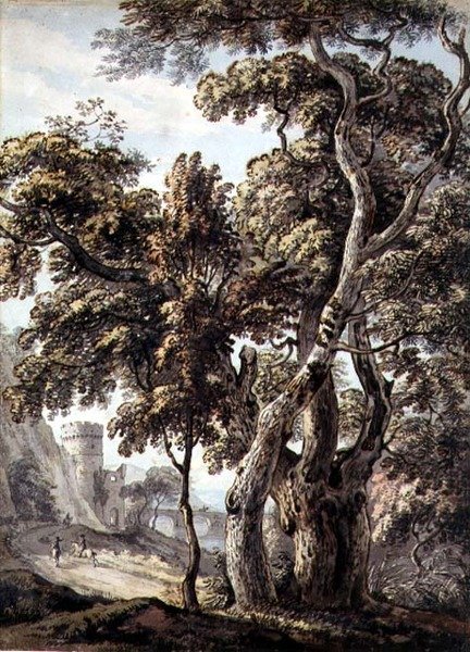 Studie af træer (pen & blæk og akvarel på papir) af Thomas Sandby