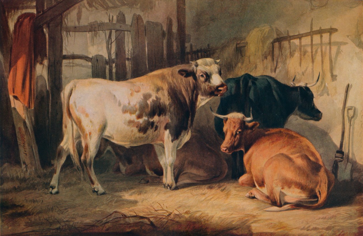 En tyr og tre køer i en stald, c1856 af Thomas Sidney Cooper
