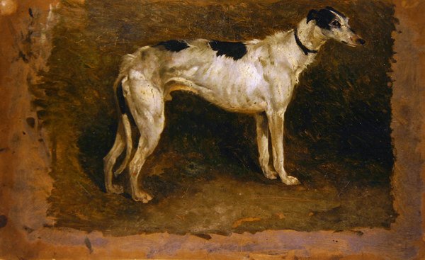 A Lurcher (olie på papir) af Thomas Sidney Cooper