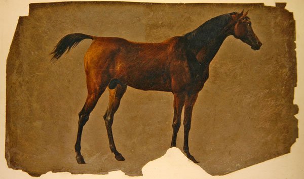 En arabisk hest (olie på papir) af Thomas Sidney Cooper