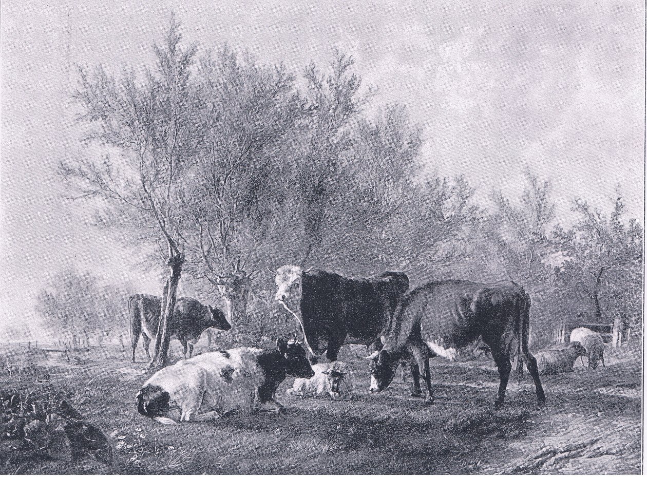 Landskab med kvæg, fra The Magazine of Art 1893, Cassell and Company af Thomas Sidney Cooper