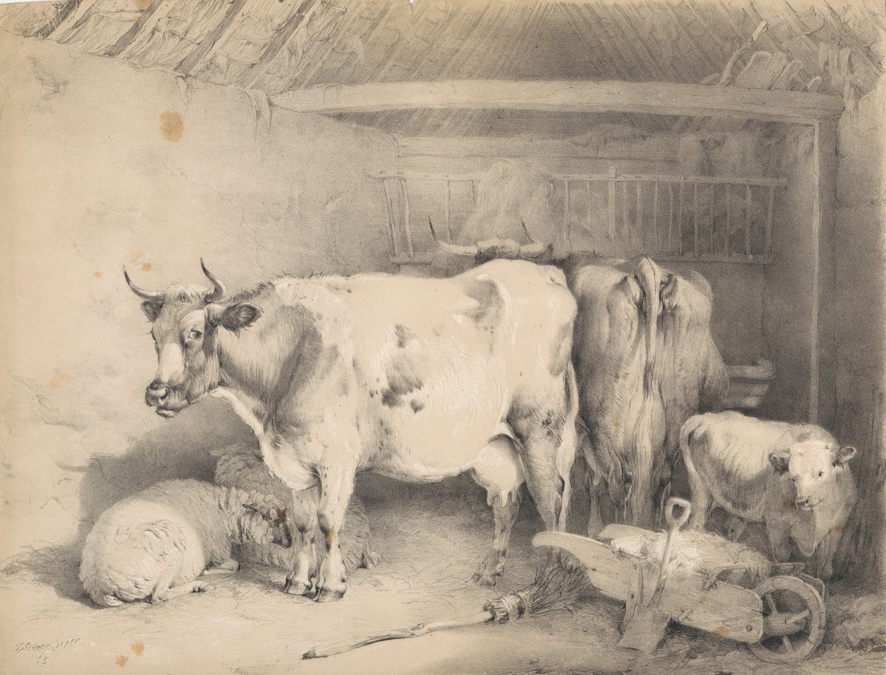 Får og kvæg i en lade af Thomas Sidney Cooper