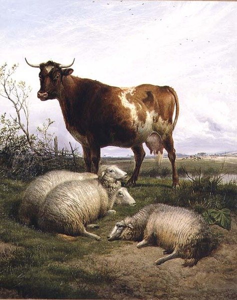 Får og en ko på græsning af Thomas Sidney Cooper