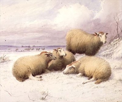 Får i sneen (akvarel på papir) af Thomas Sidney Cooper