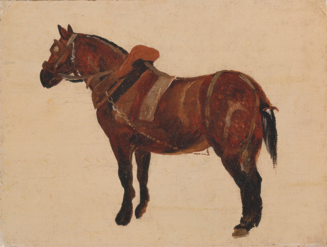 Studie af en arbejdshest af Thomas Sidney Cooper