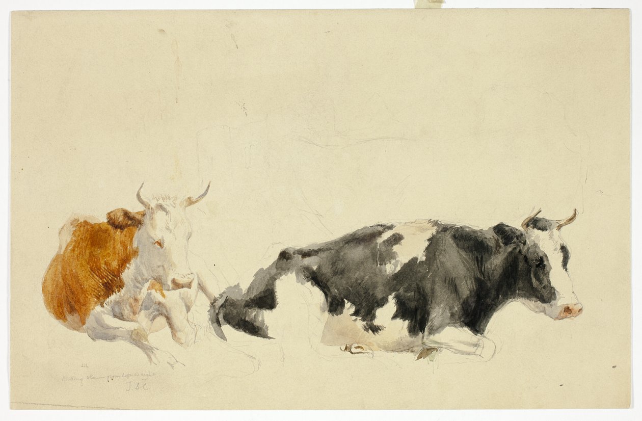 To liggende køer (recto); Skitse af stående ko (verso) af Thomas Sidney Cooper