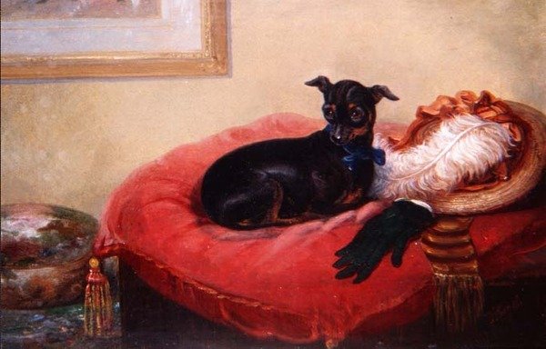 Hendes yndlingsdyr: en Manchester Terrier på en rød pude af Thomas Smythe