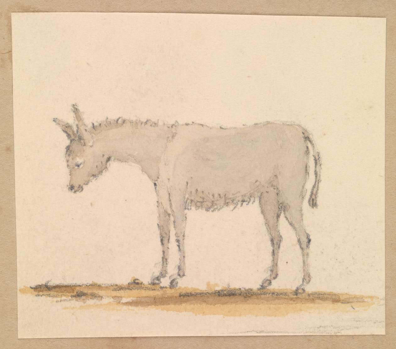 Studie af et æsel, ca. 1820 (pen og blæk, lakering, akvarel) af Thomas Streatfeild